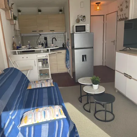 Lejlighed T2 Direct Ocean 2 Piscines Parking Terrasse 9m2 *